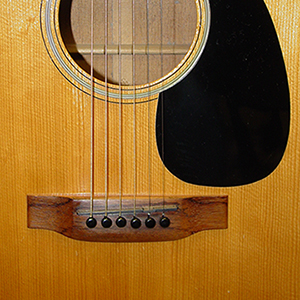 1974 Martin D-18 Modded Guitar